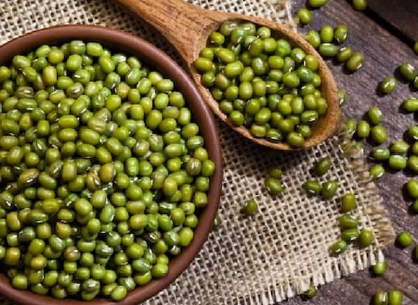 تصویر 2 از خرید ماش فله + قیمت فروش استثنایی